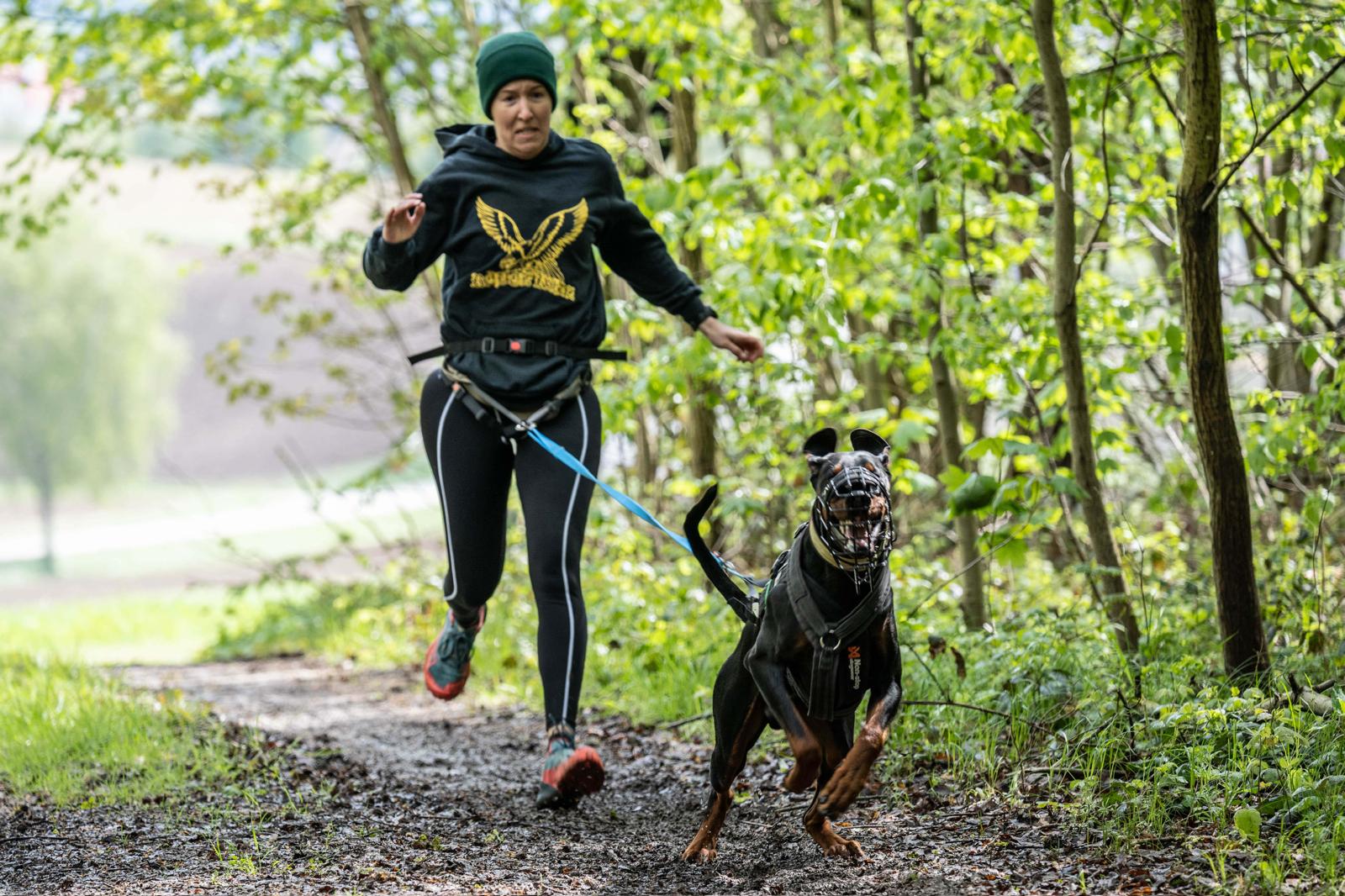 Zughundesport1 Canicross Training, Zughundesport