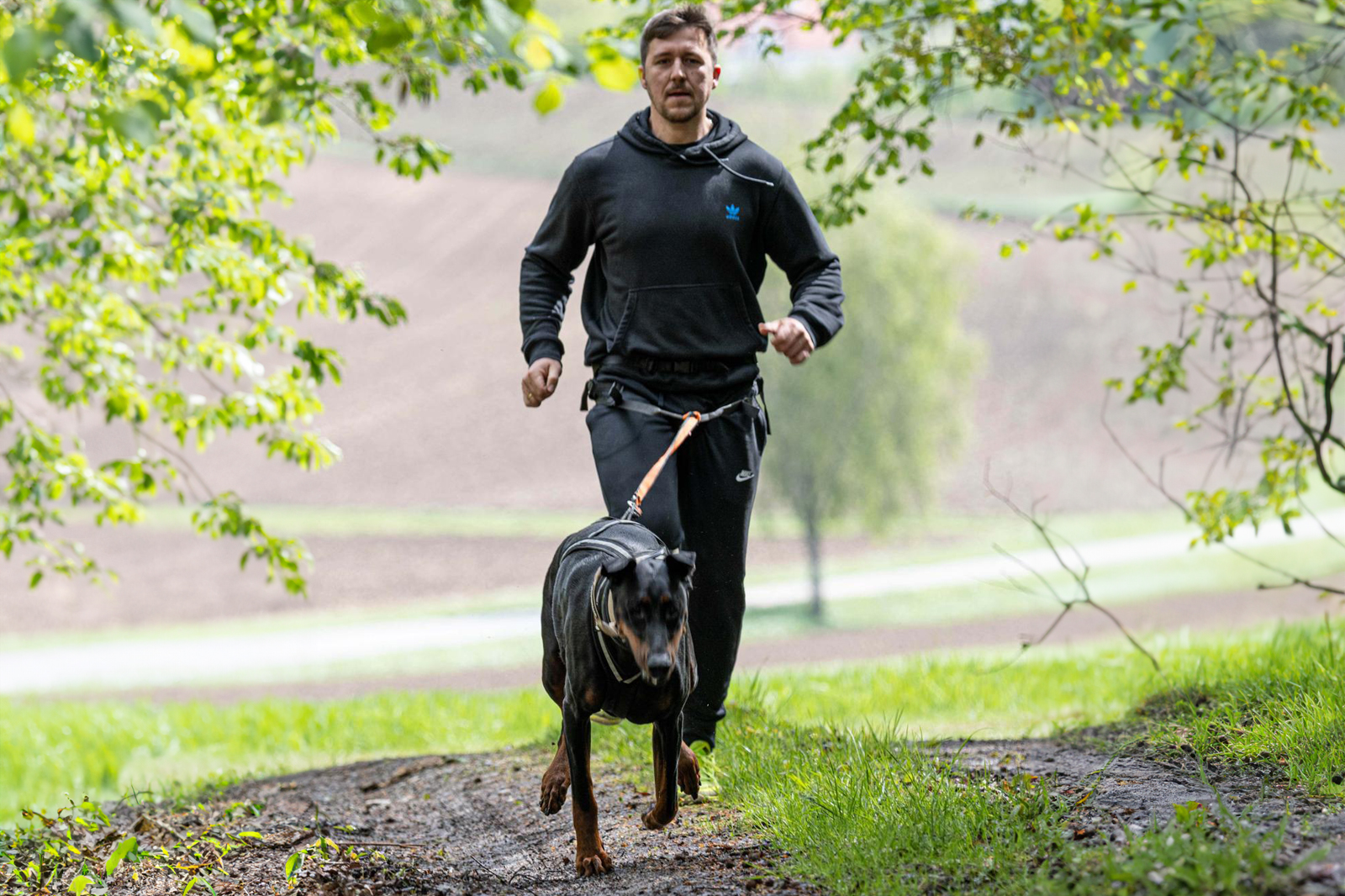 Zughundesport2 Zughundesport Canicross