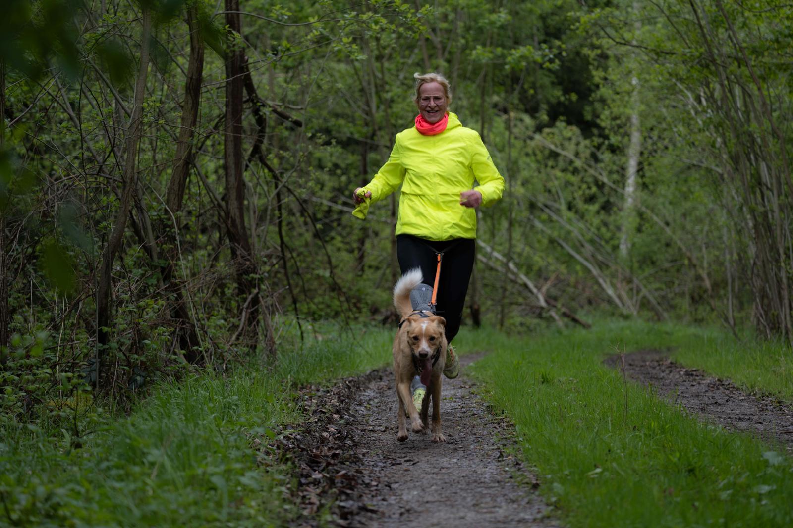 Zughundesport4 Canicross Training, Zughundesport