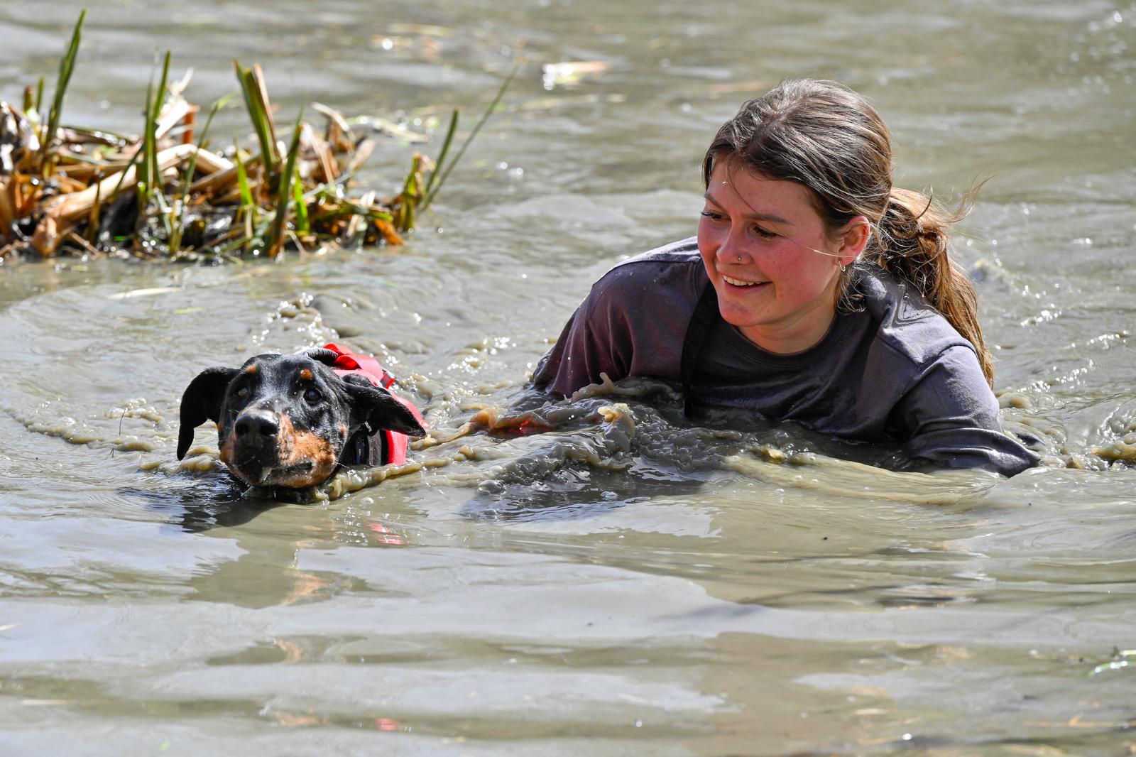 Zughundesport6 Teamsport